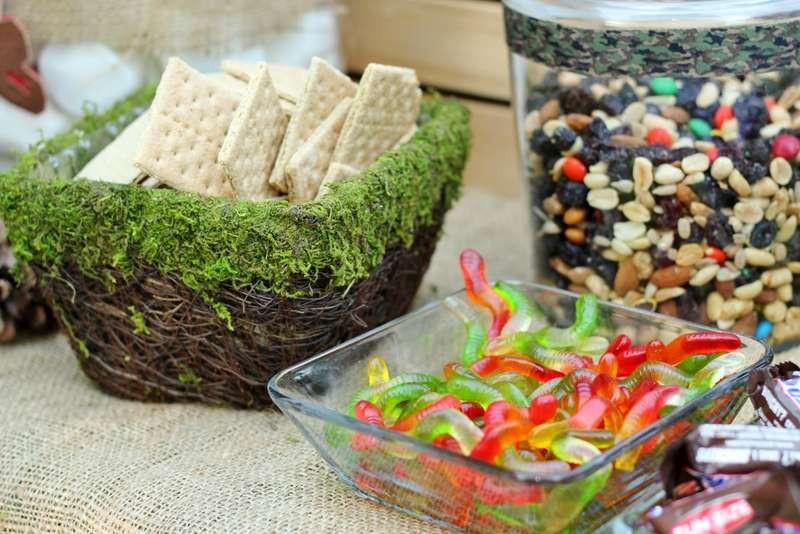 Backyard Campout Birthday Party Ideas
 Boys Backyard Campout Party Birthday Party Ideas