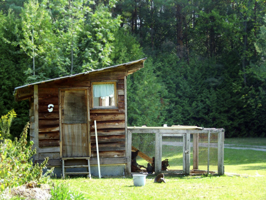 Backyard Chicken Coop Designs
 33 Backyard Chicken Coop Ideas