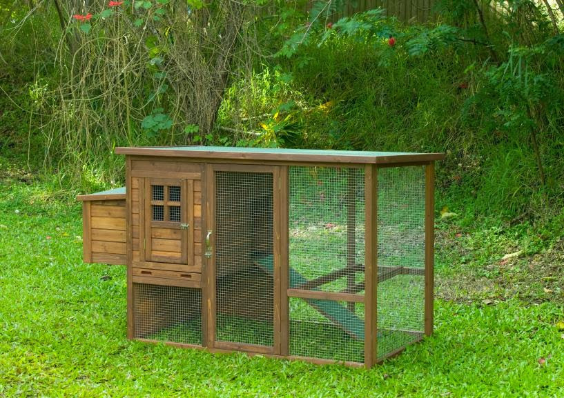 Backyard Chicken Coop Designs
 Chicken House Plans Backyard Chicken Coop