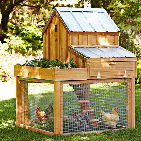 Backyard Chicken Coop Designs
 Chicken Coop Ideas Designs And Layouts For Your Backyard