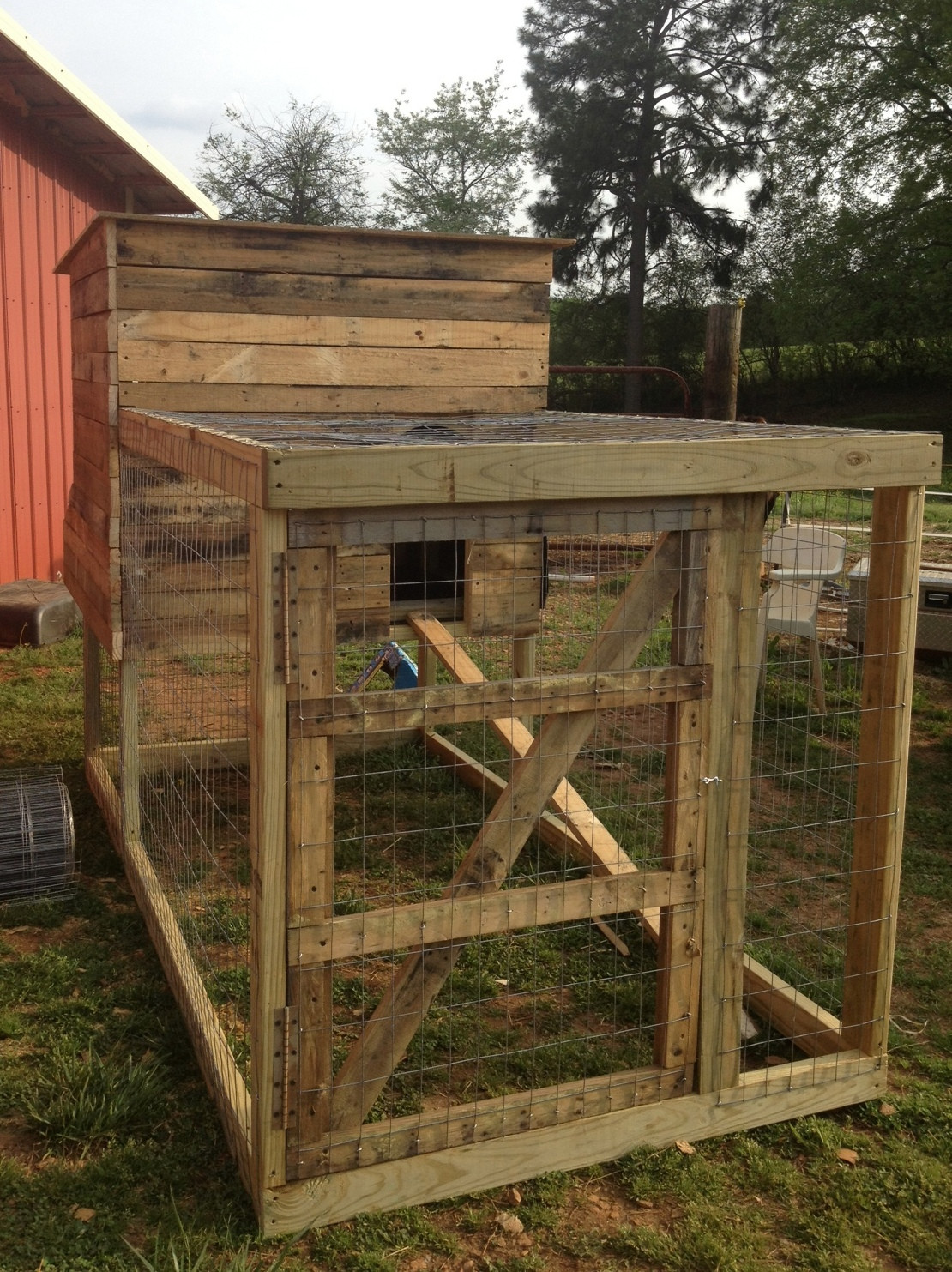 Backyard Chicken Coop Designs
 Southern Sunflower Seeds Backyard Chicken Coop