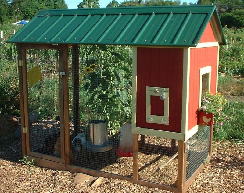 Backyard Chicken Coop Designs
 Playhouse Chicken Coop BackYard Chickens munity