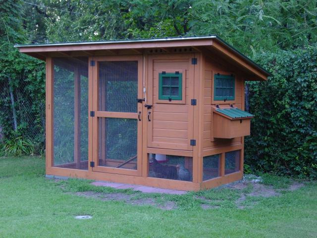 Backyard Chicken Coop Designs
 chicken coop designs chicken coops plans free