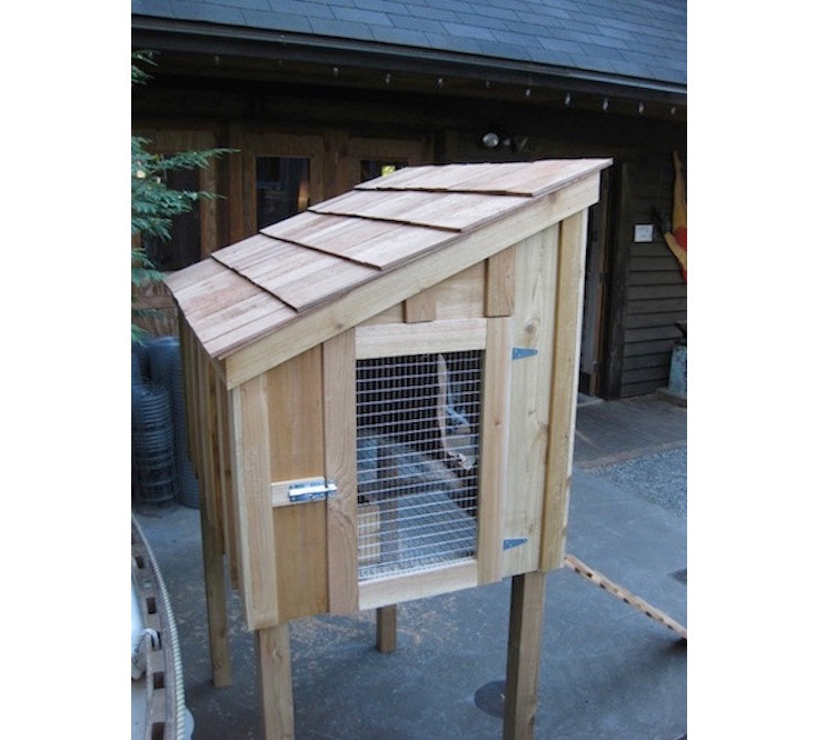 Backyard Chicken Coop Designs
 5 Favorites Backyard Chicken Coops for Small Flocks