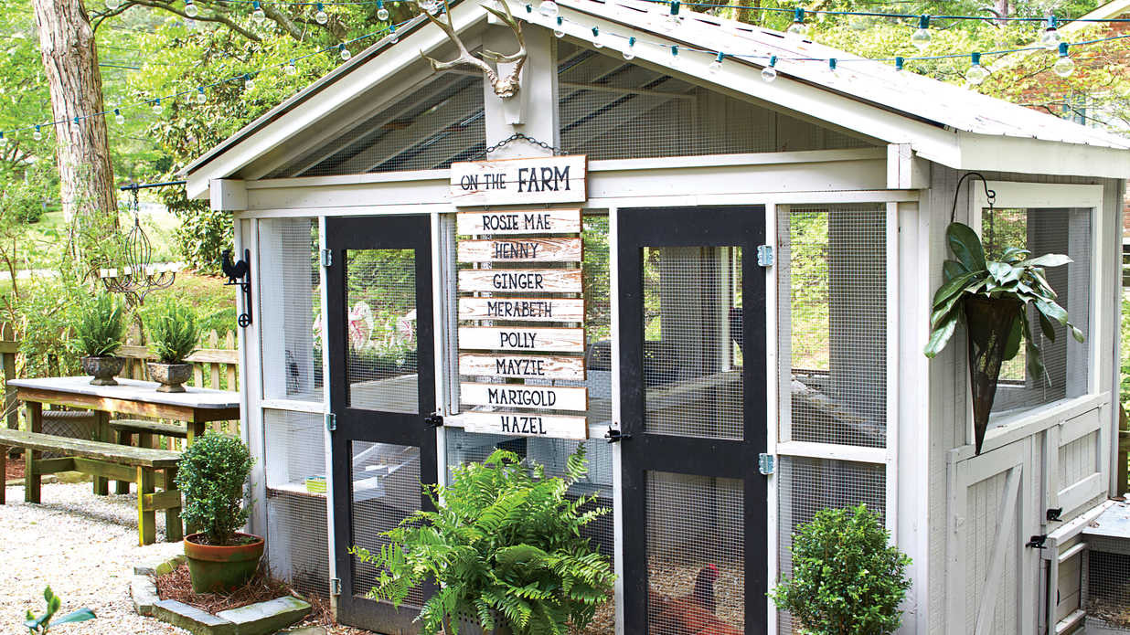 Backyard Chicken Coop Designs
 Chicken Coops Southern Living