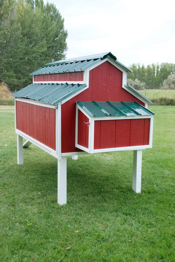 Backyard Chicken Coop Designs
 10 Free Backyard Chicken Coop Plans