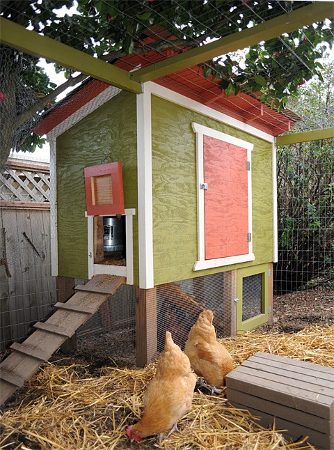 Backyard Chicken Coop Plans
 10 Free Backyard Chicken Coop Plans