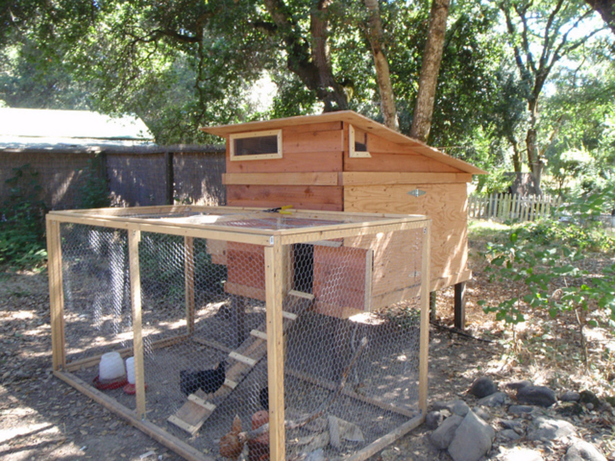 Backyard Chicken Coop Plans
 Backyard Chicken House Plans
