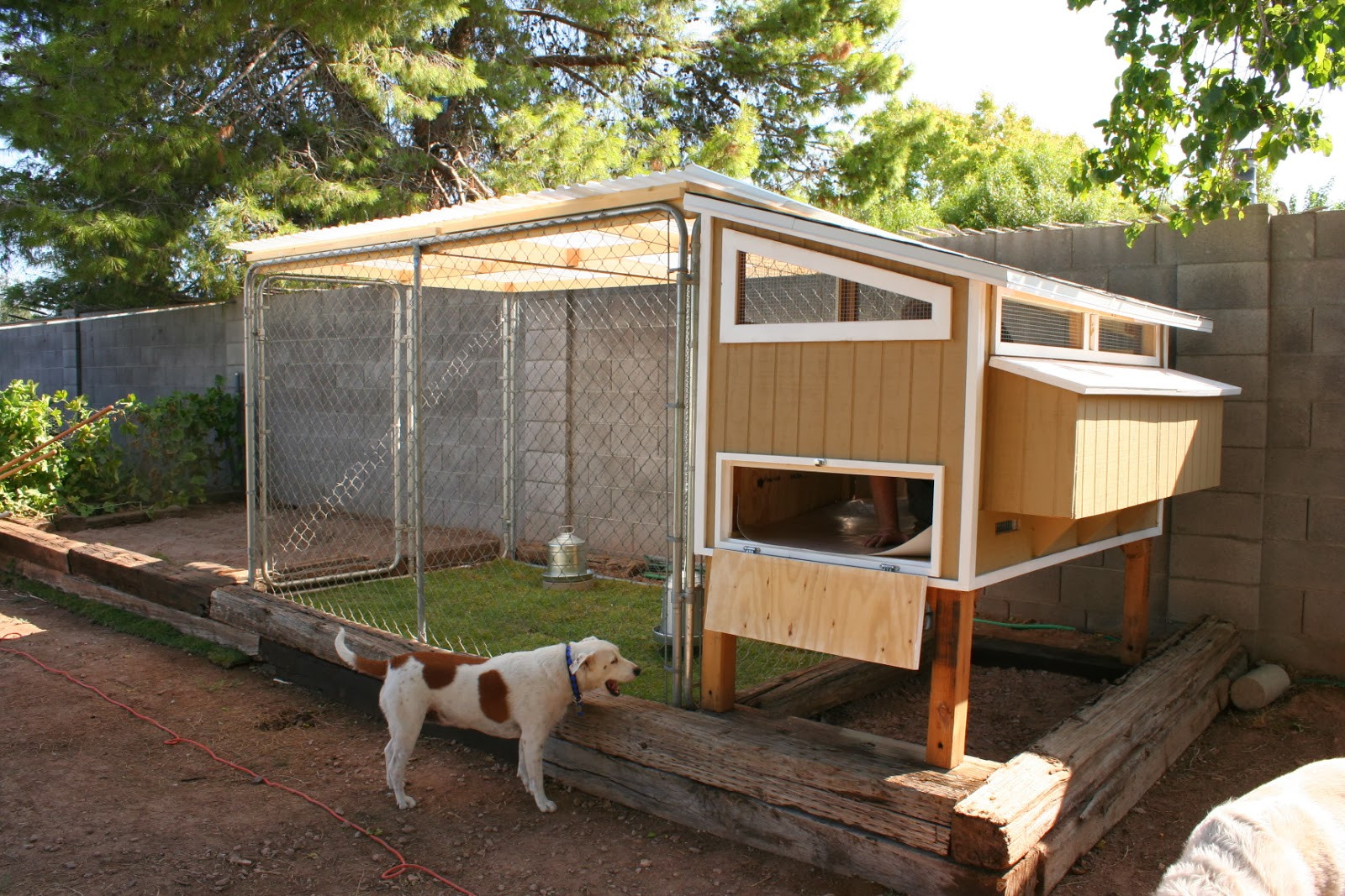 Backyard Chicken Coop Plans
 Chicken House Plans Simple Chicken Coop Designs