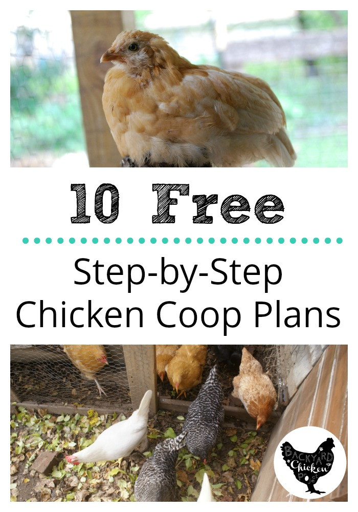 Backyard Chicken Coop Plans Free
 10 free chicken coop plans – Backyard Chicken Project