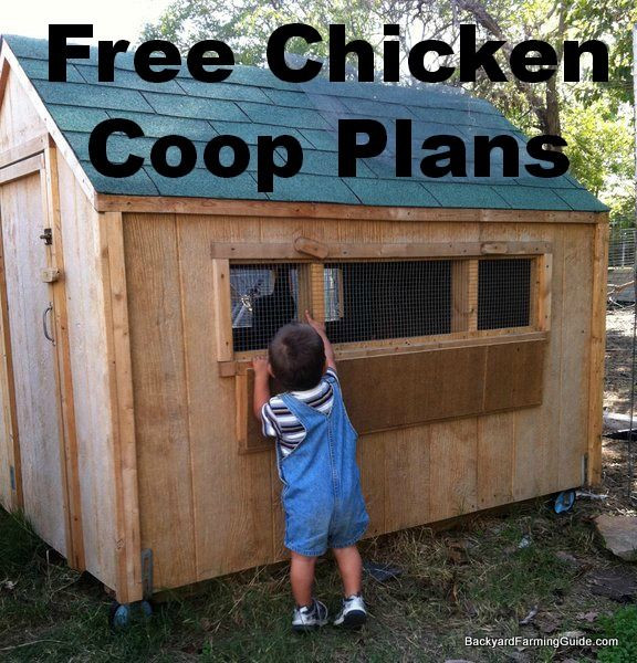 Backyard Chicken Coop Plans Free
 Backyard chicken coop plans free