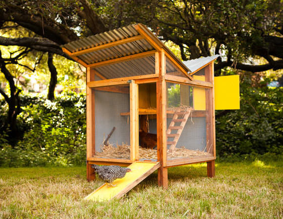 Backyard Chicken Coop Plans
 DIY Chicken Coops Even Your Neighbors Will Love