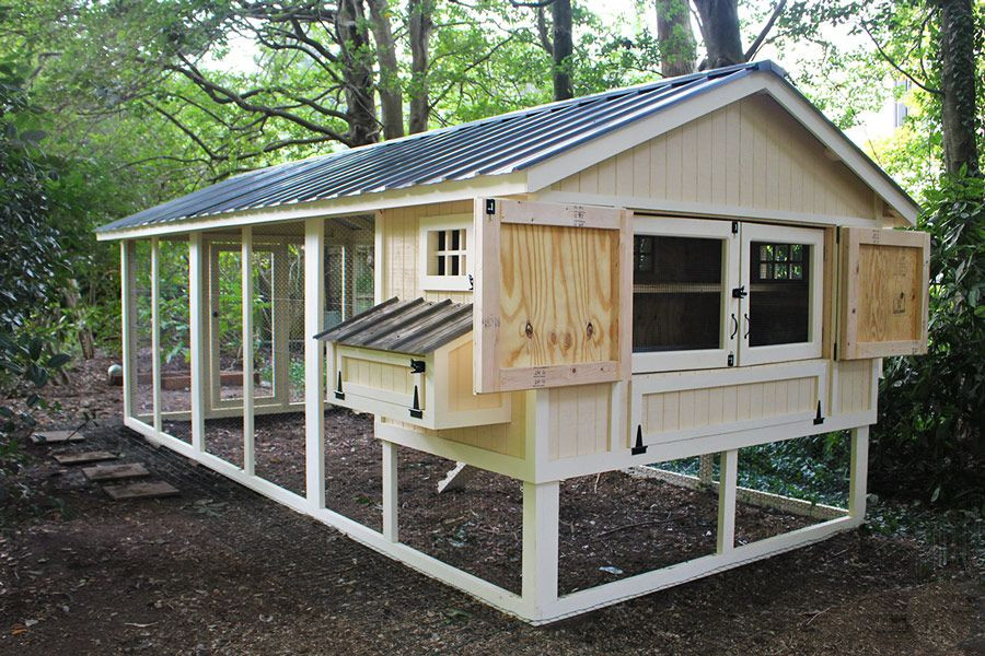 Backyard Chicken Coop Plans
 American Coop w 12 Run Up to 12 chickens from My Pet
