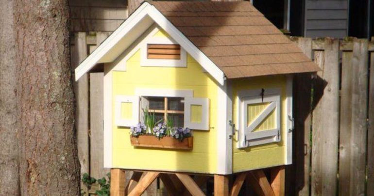 Backyard Chicken Coop Plans
 8 DIY Cute and Functional Small Chicken Coop Plans