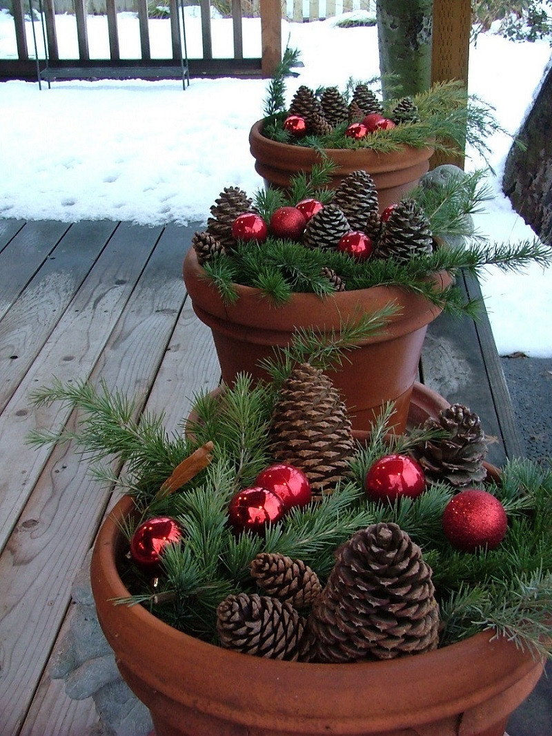 Backyard Christmas Decorations
 25 Top outdoor Christmas decorations on Pinterest Easyday