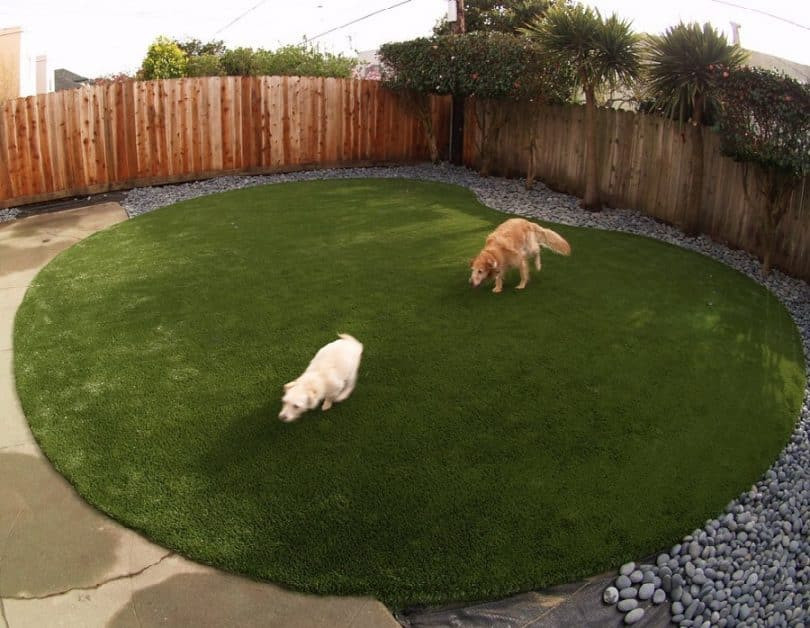 Backyard Dog Runs Ideas
 Dog Run Ideas Improve Your Dog’s Time while in The Run