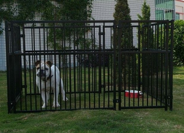 Backyard Dog Runs Ideas
 16 best images about Backyard Dog Run Ideas on Pinterest