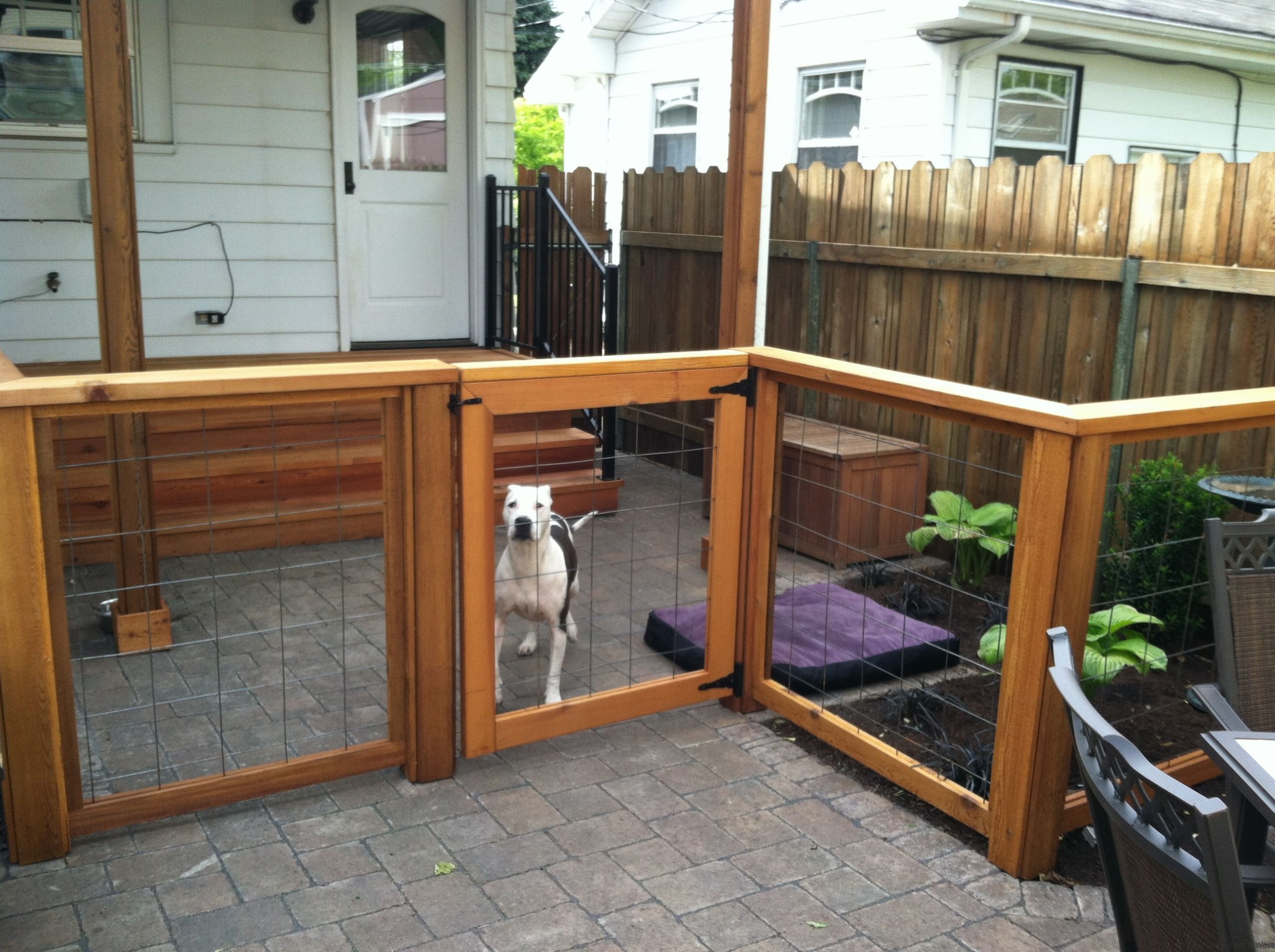 Backyard Dog Runs Ideas
 Pet friendly Portland Landscaping Designs