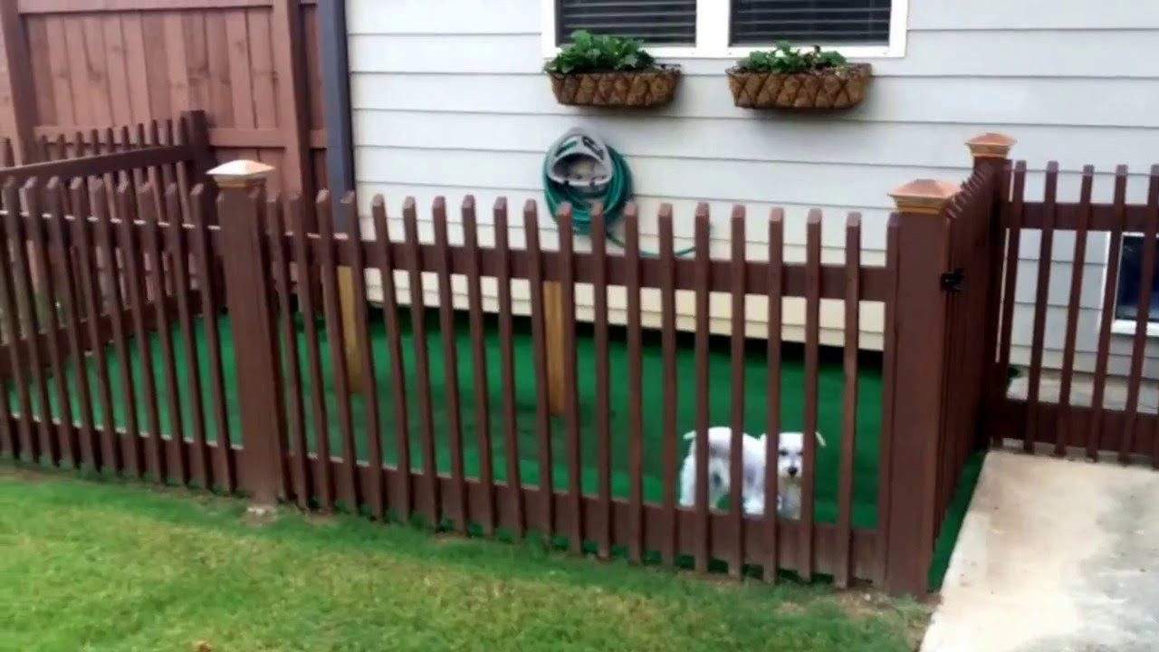 Backyard Dog Runs Ideas
 BACKYARD DOG KENNEL IDEA EASY DIY