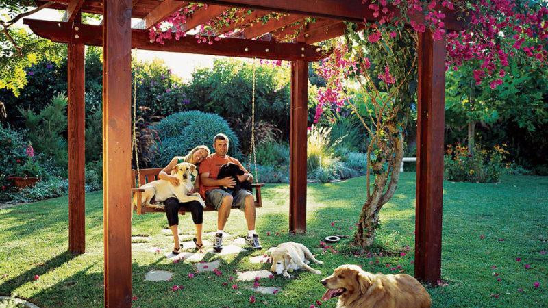 Backyard Dog Runs Ideas
 10 Cutest Backyard Dog Run Ideas & Designs