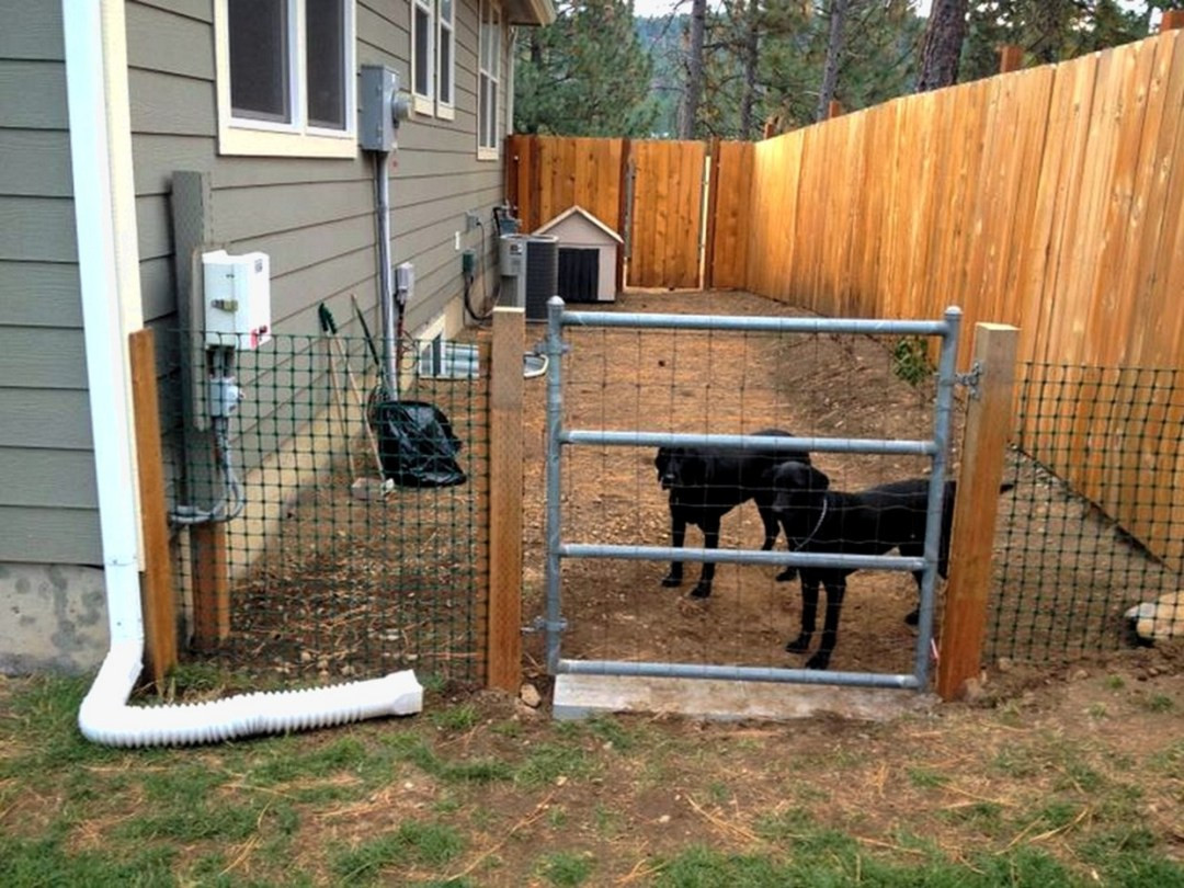 Backyard Dog Runs Ideas
 Backyard Dog Run Fence A Setup Your Dog Will Enjoy Pet