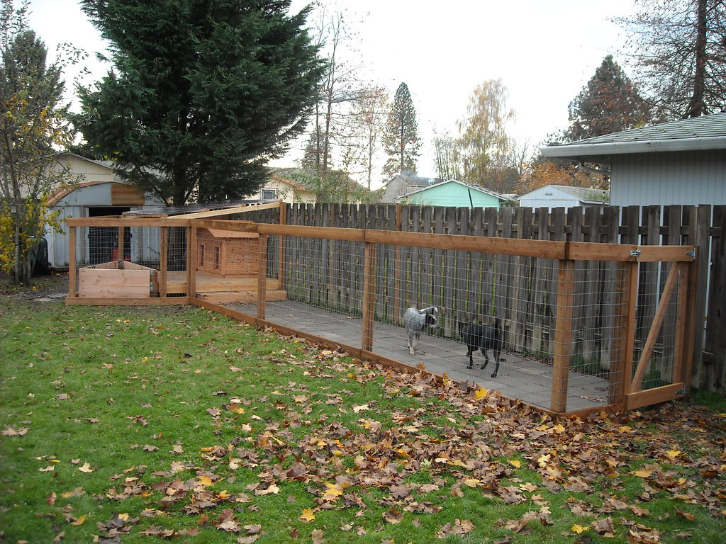 Backyard Dog Runs Ideas
 Dog Run pleted with Dogs Added