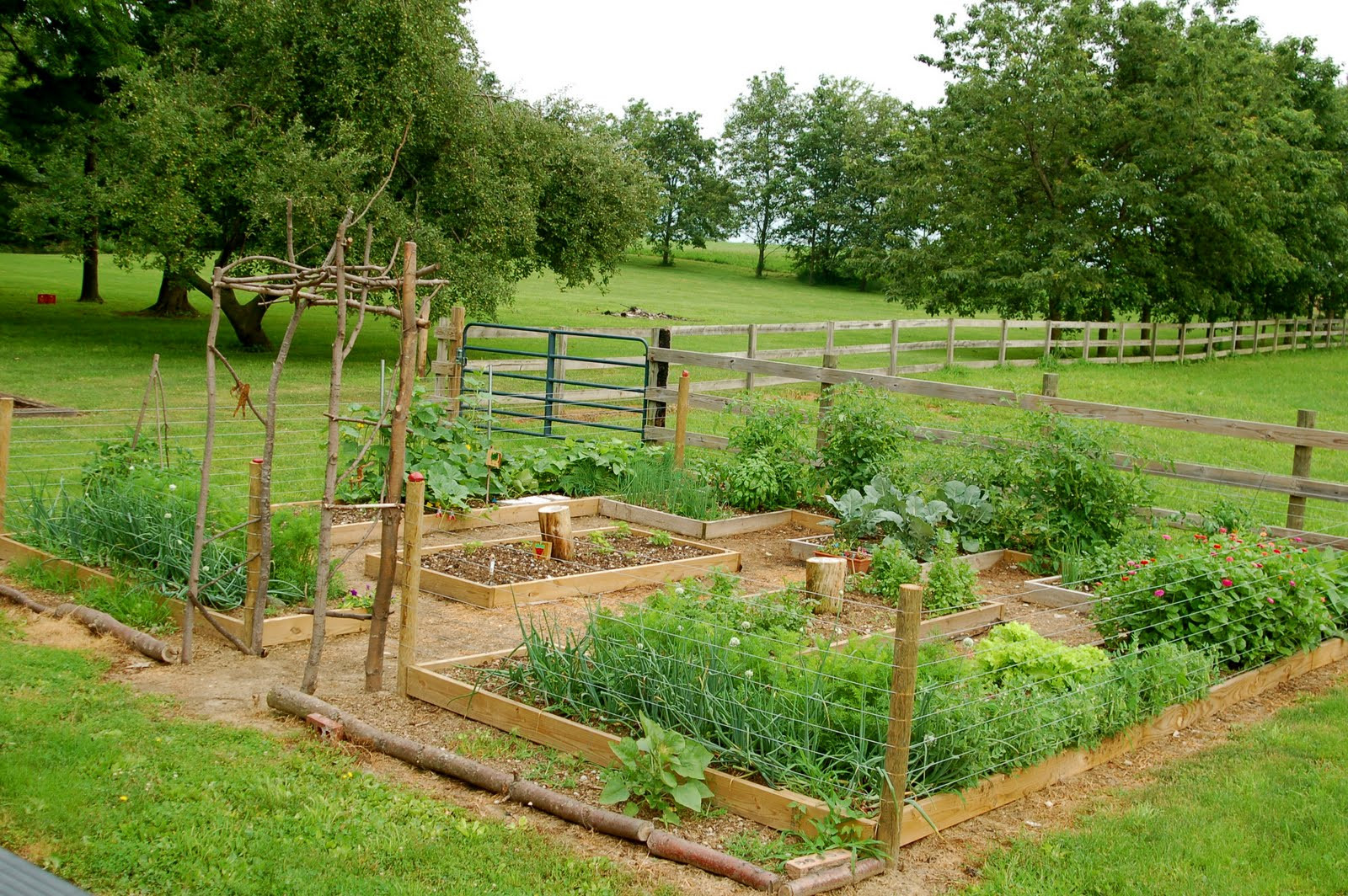 Backyard Farm Ideas
 Remodelaholic