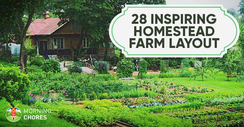 Backyard Farm Ideas
 28 Farm Layout Design Ideas to Inspire Your Homestead Dream