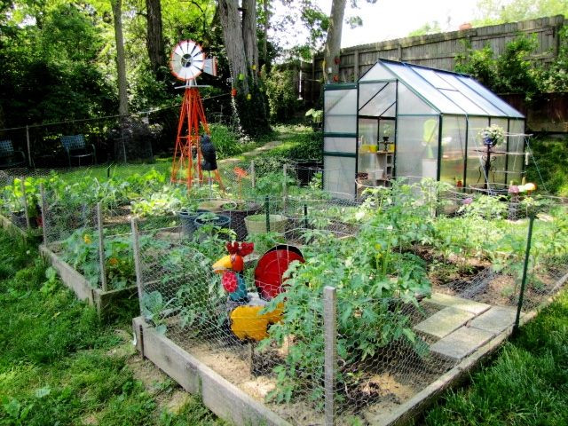 Backyard Farm Ideas
 42 best images about Self sustaining farm garden on