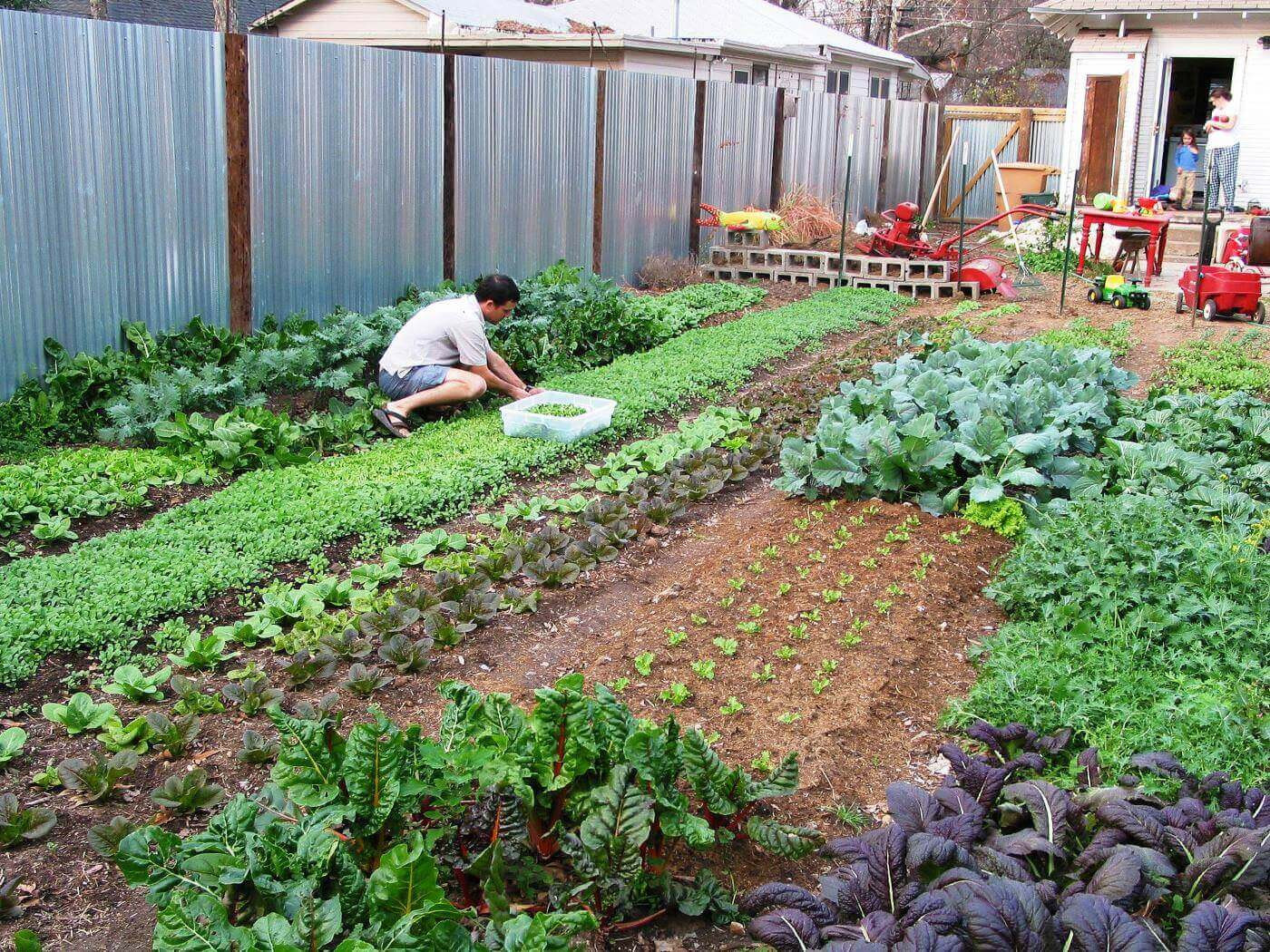 Backyard Farm Ideas
 Backyard Farming on an Acre Ideas