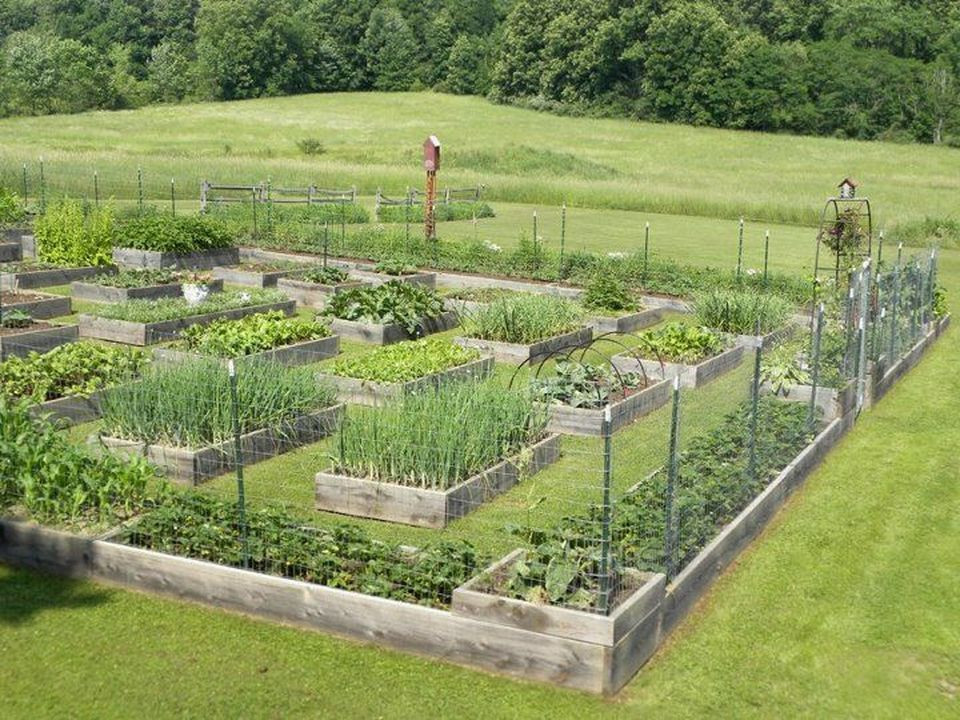 Backyard Farm Ideas
 Homestead farm garden layout and design for your home 3