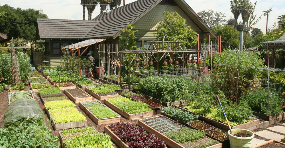 Backyard Farm Ideas
 Family Grow All The Food They Need In Their Urban Home’s