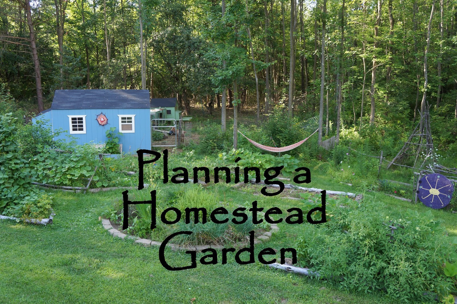 Backyard Farm Ideas
 The Backyard Farming Connection Planning Your Homestead