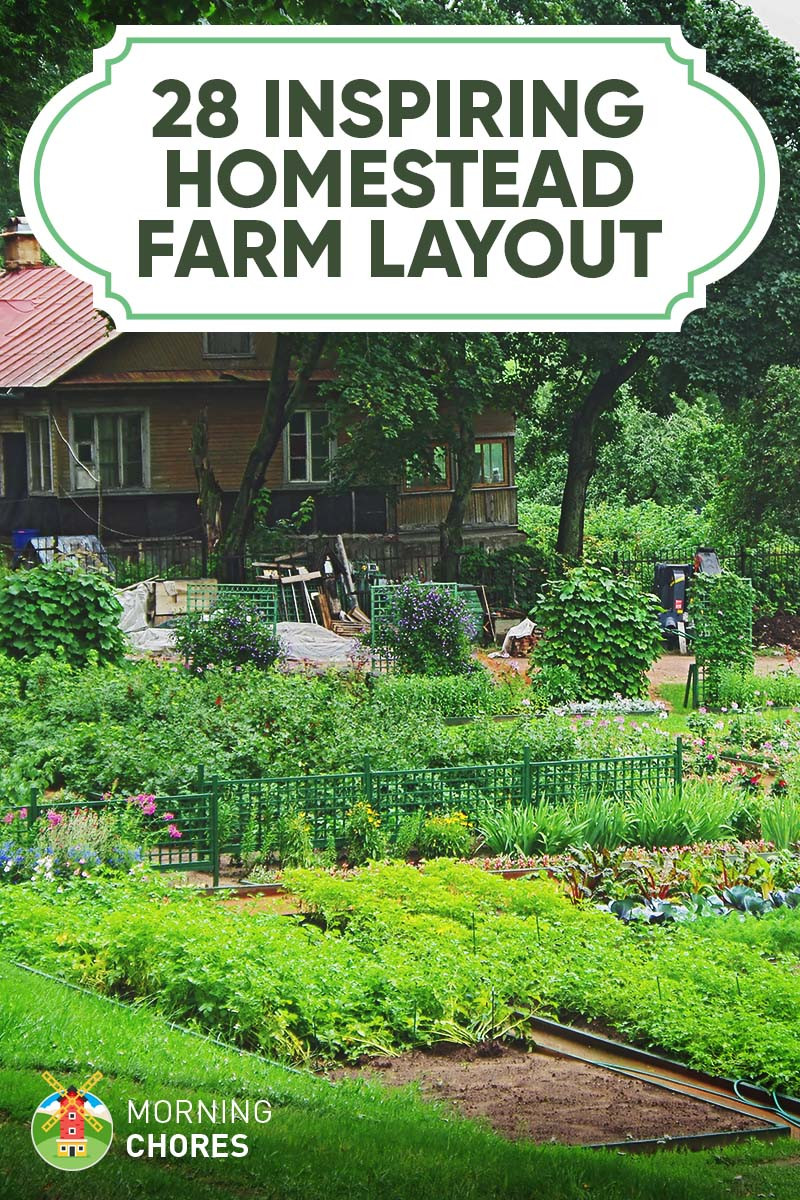 Backyard Farm Ideas
 28 Farm Layout Design Ideas to Inspire Your Homestead Dream