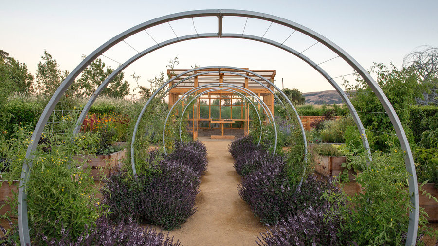 Backyard Farm Ideas
 Backyard Farm Design Ideas Sunset Magazine