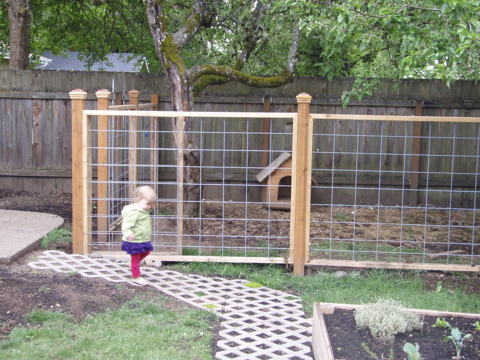 Backyard Fence For Dogs
 End of May and the Garden is Planted