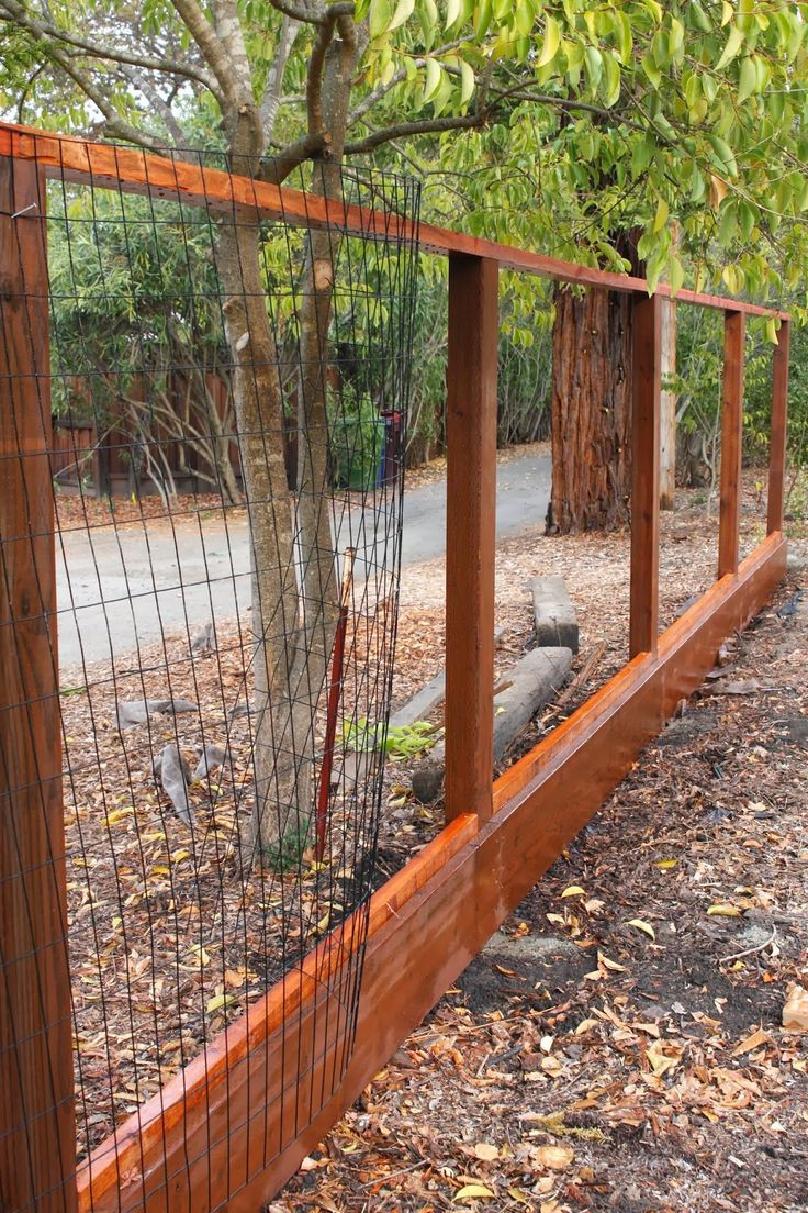 Backyard Fence For Dogs
 Cheap Fence Ideas For Dogs In DIY Reusable And Portable