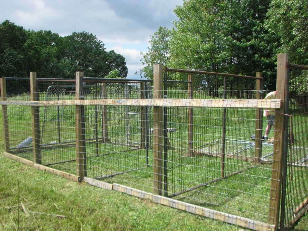 Backyard Fence For Dogs
 Dog Fences Outdoor DIY To Keep Your Dogs Secure