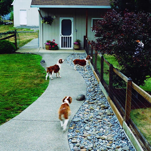 Backyard Fence For Dogs
 Top Dog Friendly Backyards