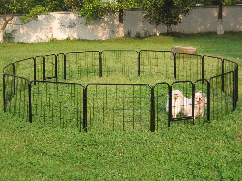 Backyard Fence For Dogs
 Types of Backyard Fences For Your Pet Backyard Sports