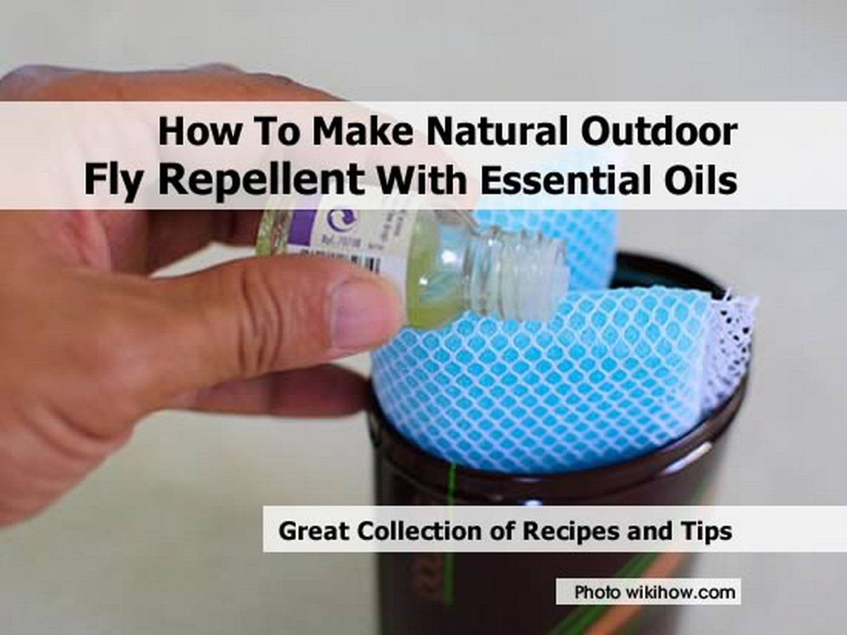 Backyard Fly Repellent
 How To Make Natural Outdoor Fly Repellent With Essential Oils