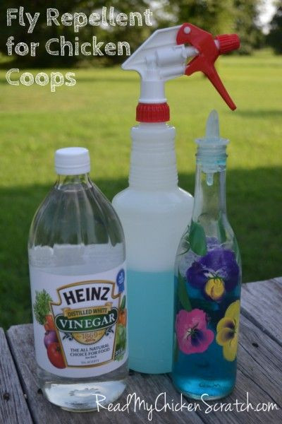 Backyard Fly Repellent
 Fly Repellent