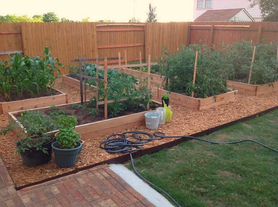 Backyard Garden Box
 Beautiful Raised Garden Bed from Austin Texas