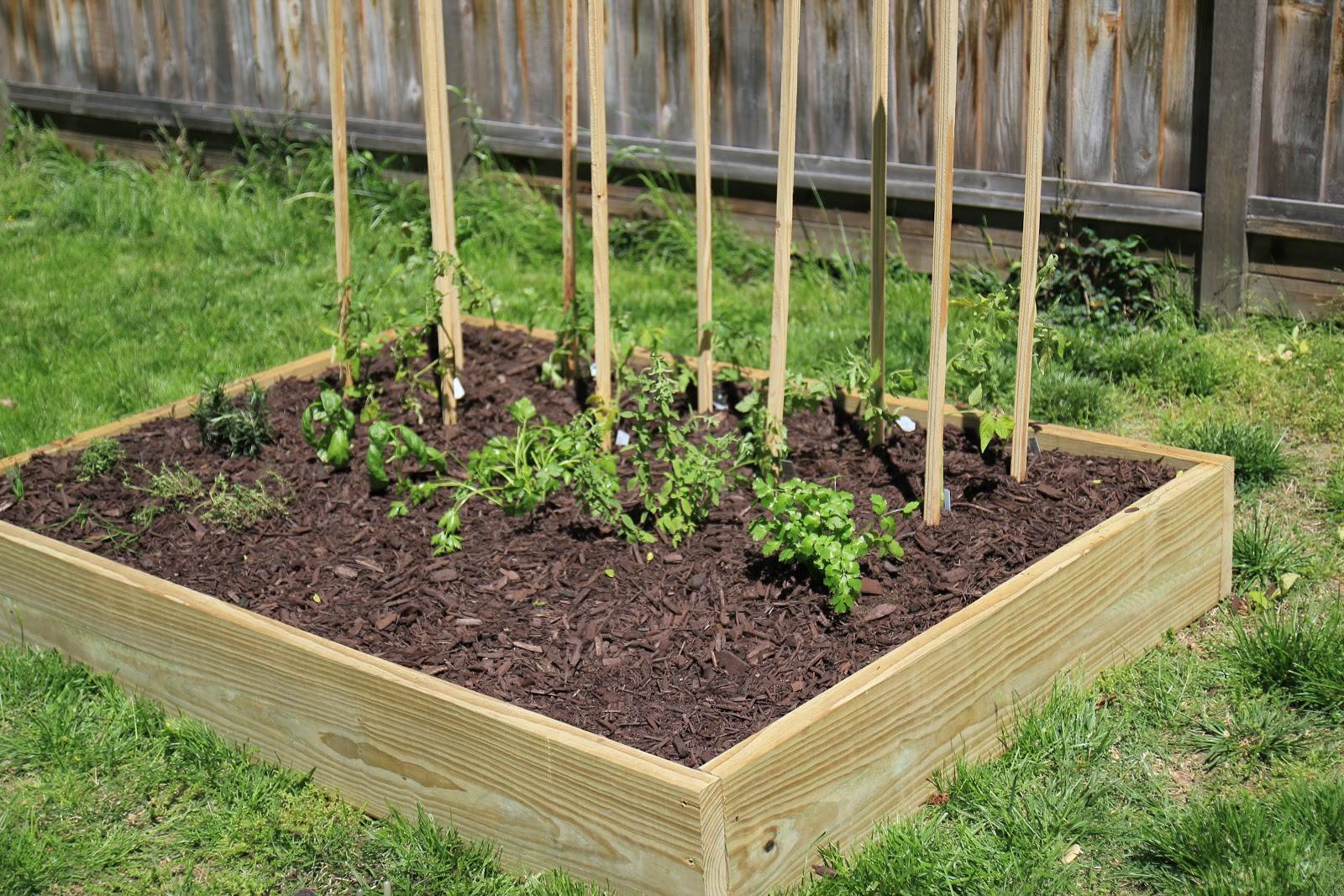 Backyard Garden Box
 Jenny Steffens Hobick My $75 Backyard Garden