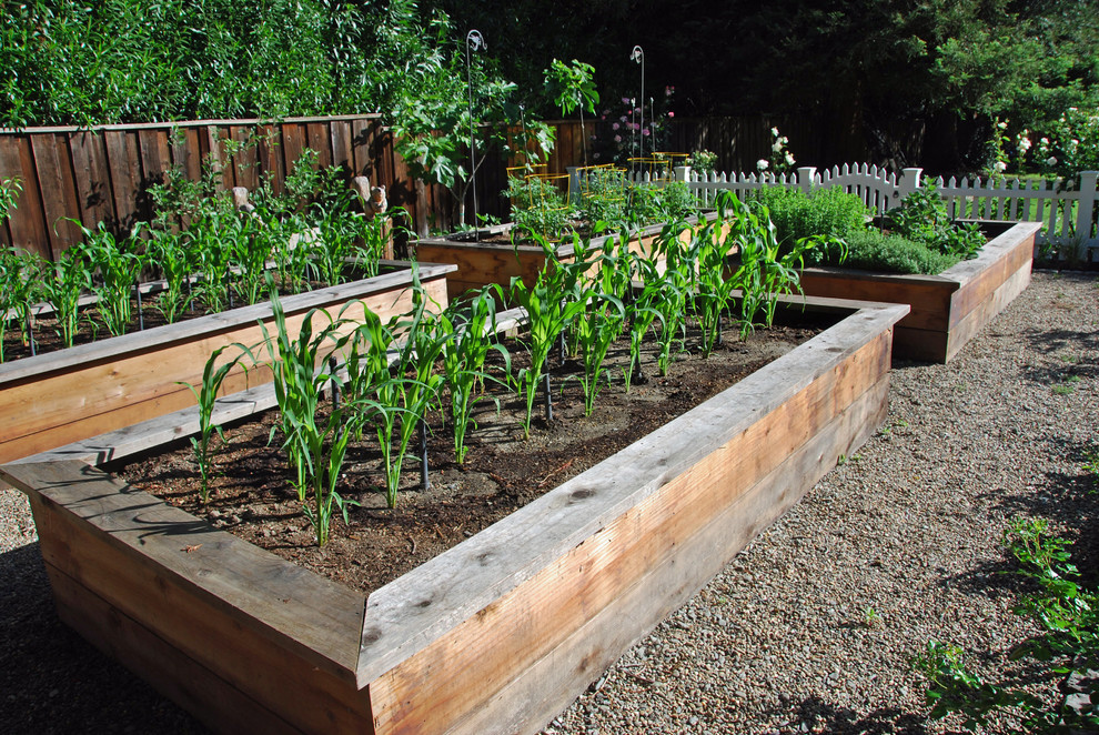 Backyard Garden Box
 Wood for Raised Beds A Practical Way of Gardening – HomesFeed