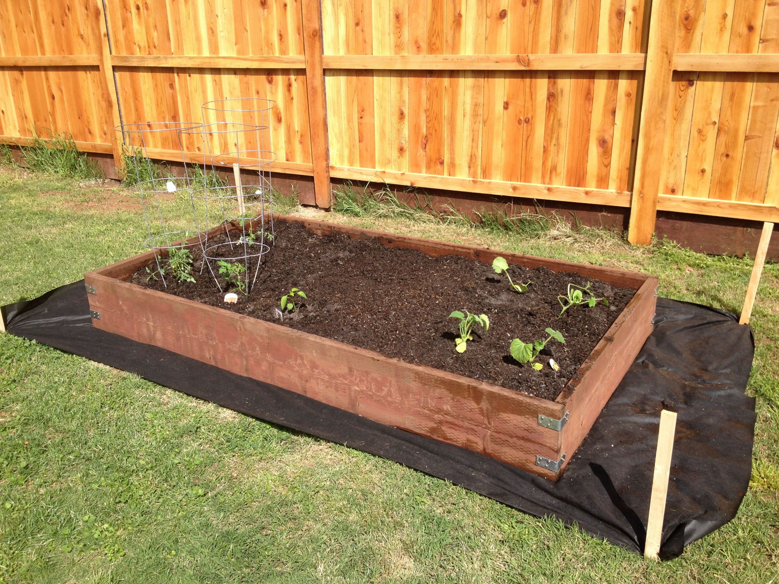 Backyard Garden Box
 Garden box made using 2x12 pressure treated wood and l