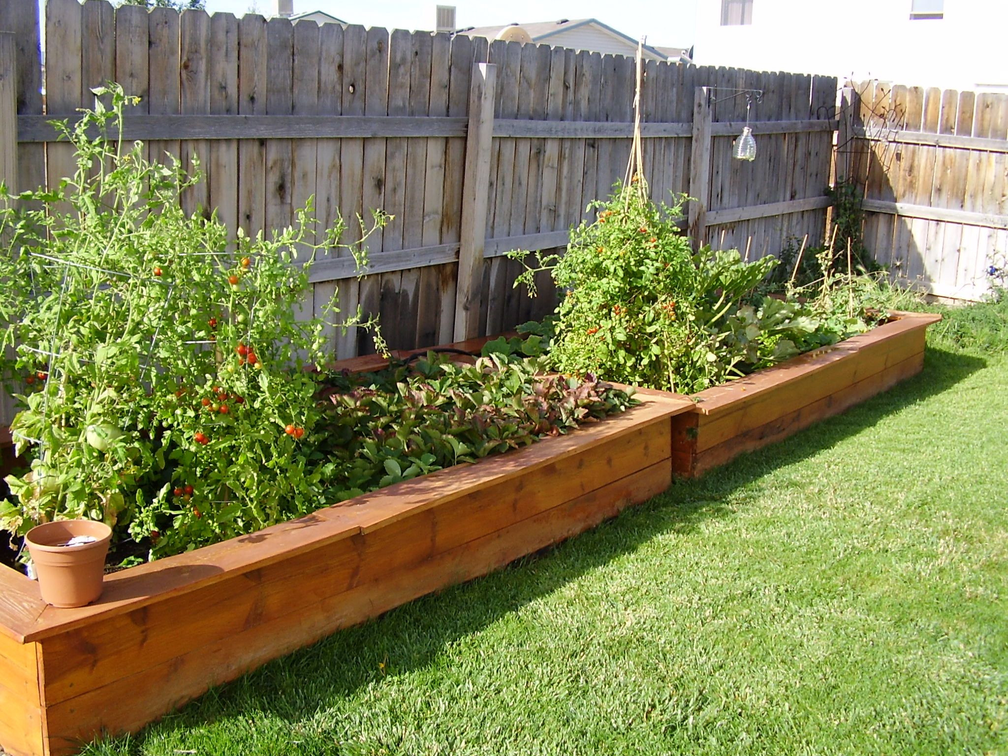 Backyard Garden Box
 garden boxes