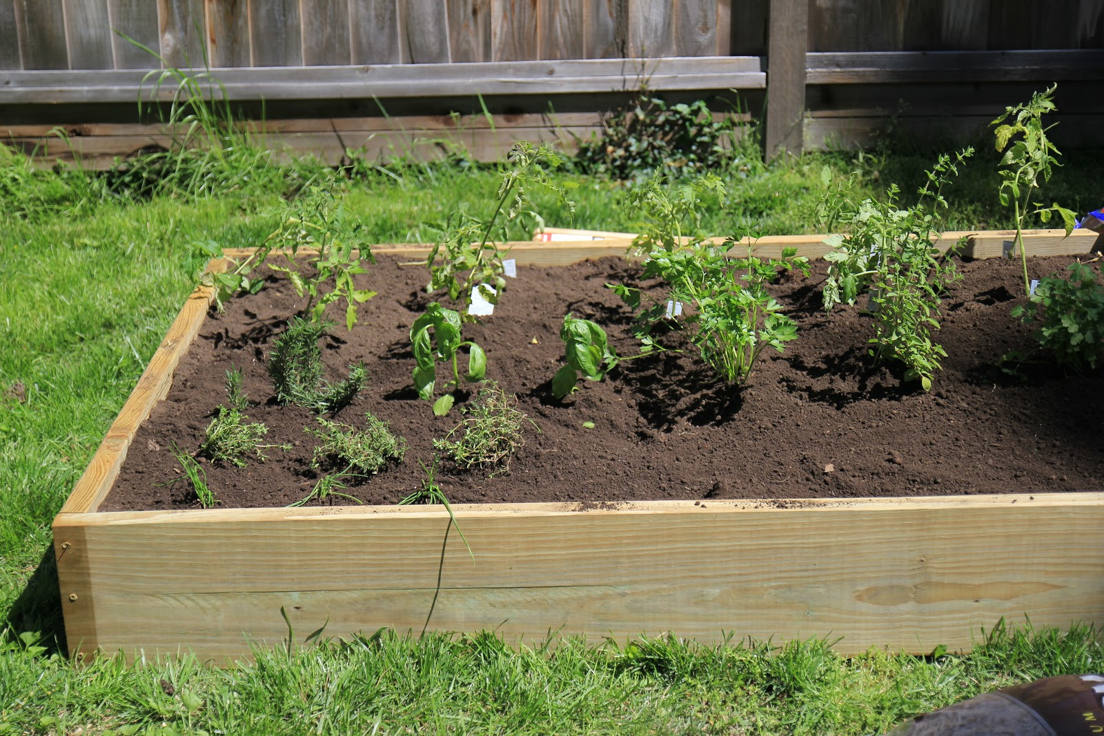 Backyard Garden Box
 Jenny Steffens Hobick My $75 Backyard Garden