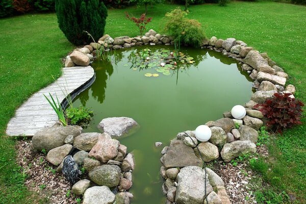 Backyard Goldfish Pond
 Outdoor Goldfish Pond Care Maintain Health Living for