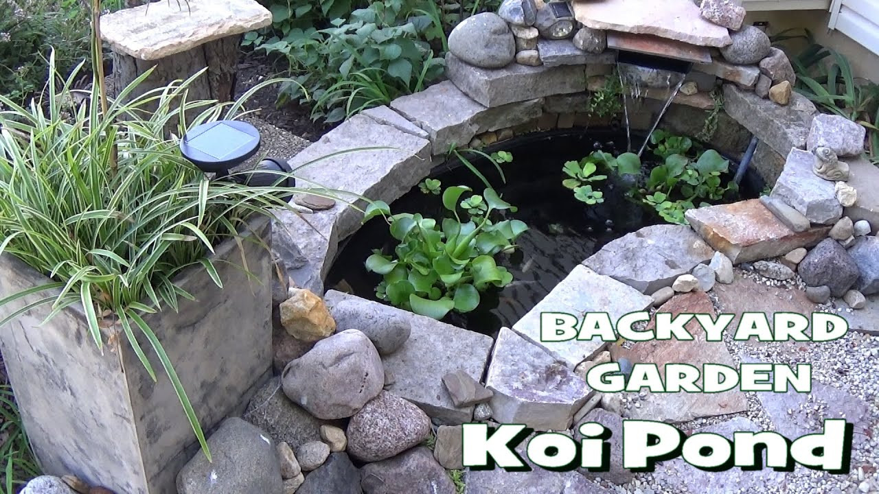 Backyard Goldfish Pond
 Small Backyard Garden Koi & Goldfish Pond Update Part 1